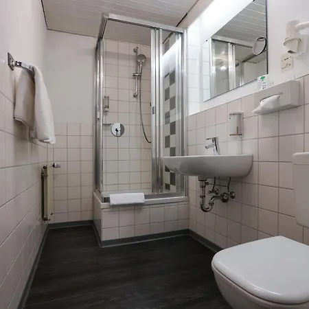 Arthotel Ana Flair מלון 3*