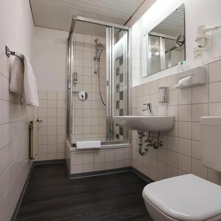 Arthotel Ana Flair