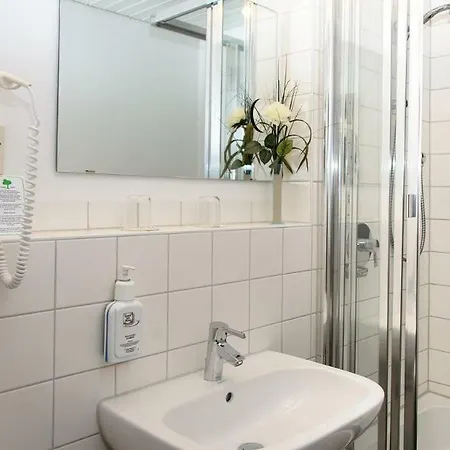 Arthotel Ana Flair מלון 3*